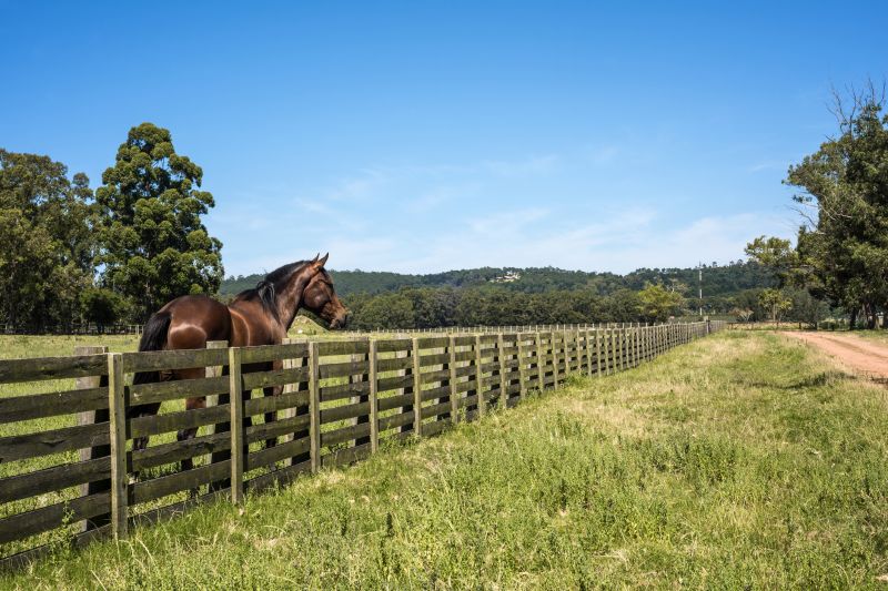 Equine Fence Installation in Roseville, CA
