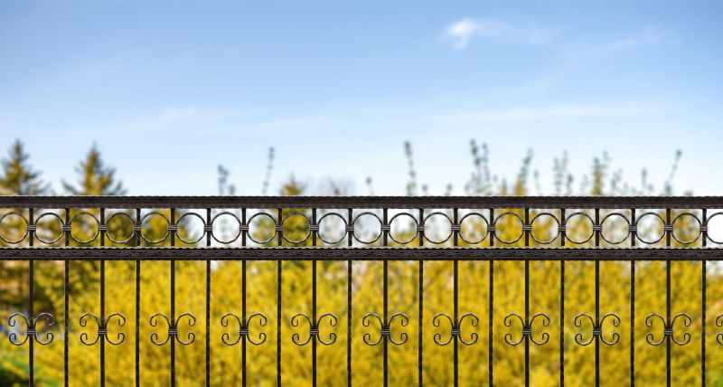 Cast Iron Fence Installation in Alpharetta, GA