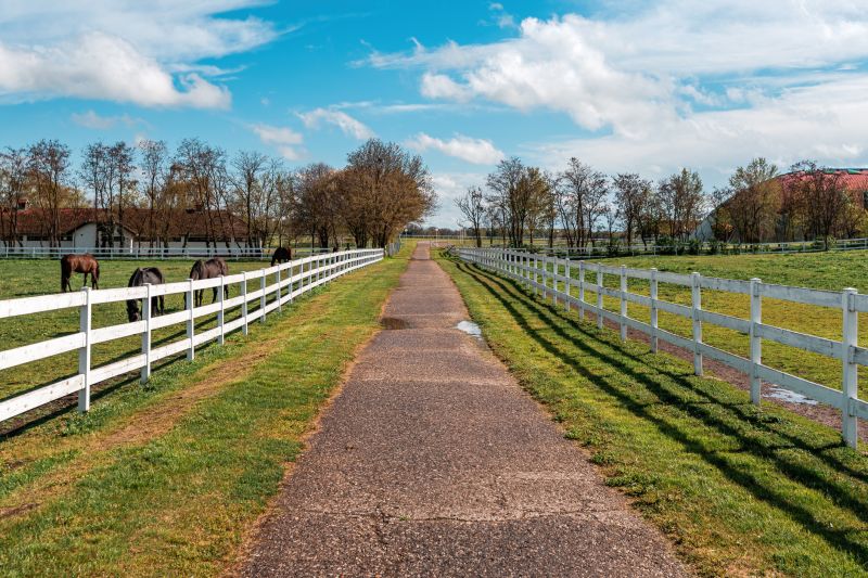 Horse Fence Replacement in Sacramento, CA