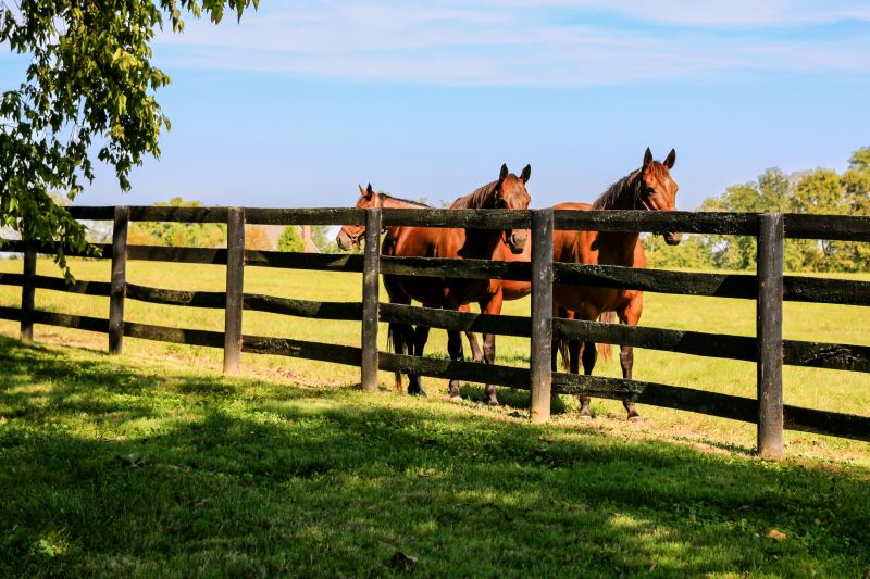 Horse Paddock Installation in Roseville, CA