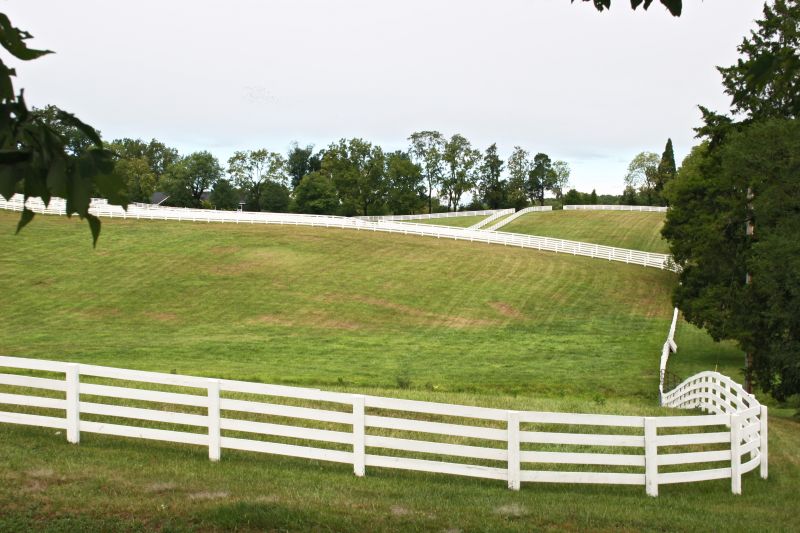 Horse Paddock Installation in Pearland, TX
