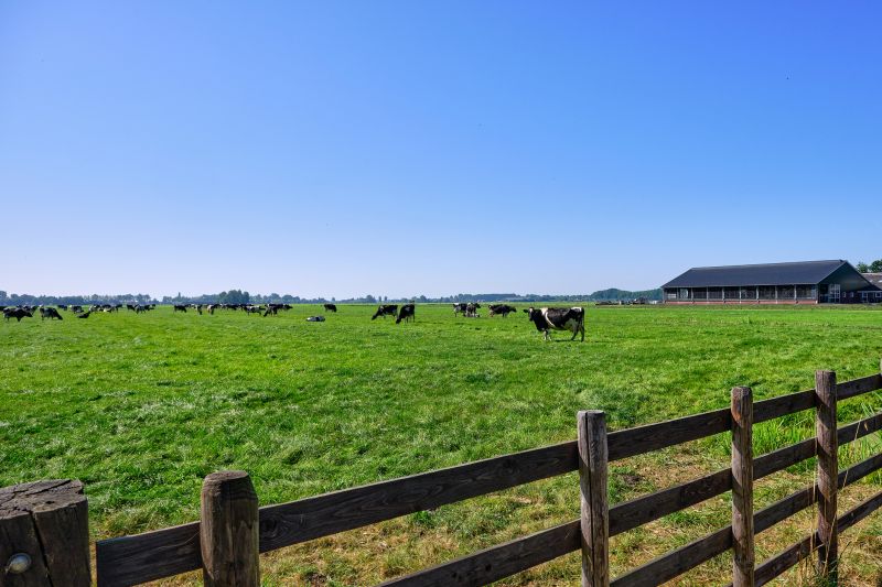 Ranch Fence Construction in Roseville, CA