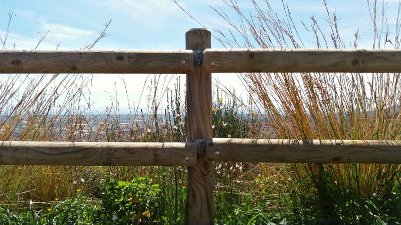 Wooden Dog Fence Installation in Sacramento, CA